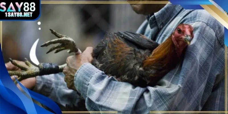 Bảng biến động tỷ lệ cược trong 3 phút đầu trận C1.