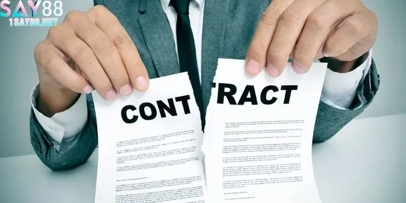 Người dùng tuân thủ quy định để bảo vệ quyền lợi và hạn chế rủi ro tại SAY88