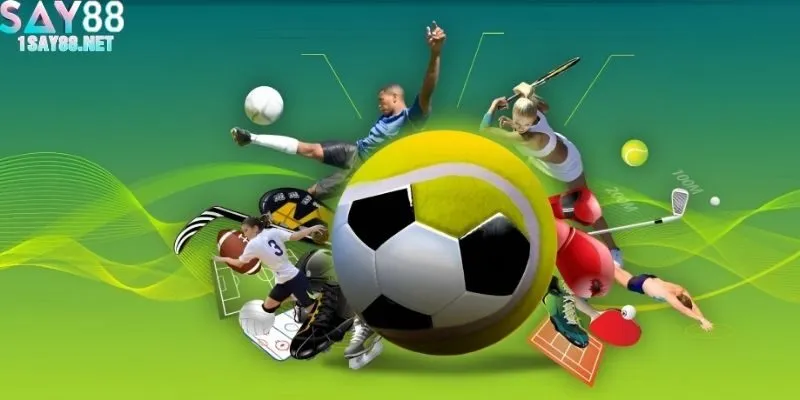 Giao diện cá cược thể thao rõ ràng và dễ theo dõi